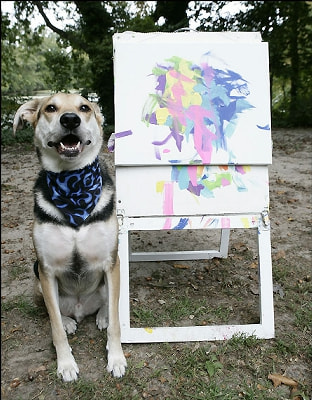 Картины нью-йоркского пса продаются по $2 тыс