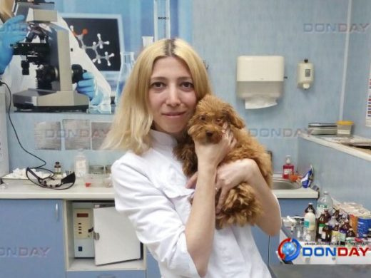 В Ростове спасли едва не лишившегося зрения щенка