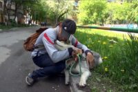 Тюменские полицейские вернули инвалиду его собаку-поводыря