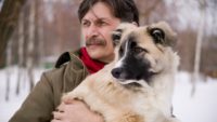 Генетики связали дружелюбие собак с «синдромом эльфа»