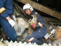 Из-под завалов дома на Сеченова спасли собаку