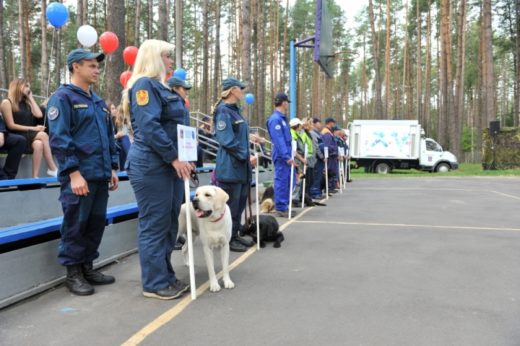 В Брянске 54 собаки со всего ЦФО выясняют, кто из них лучше помогает спасателям