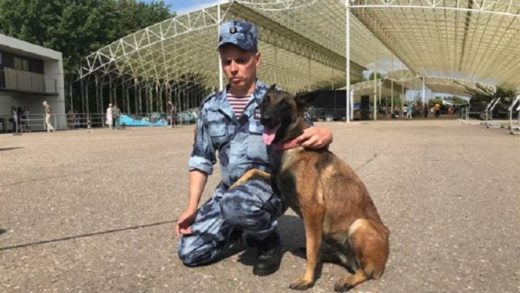 Полиция Петербурга потратит полмиллиона рублей на служебных собак