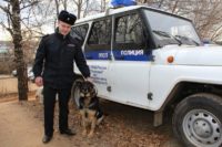 Взяла след: в Прикамье полицейская собака нашла пропавшего мужчину