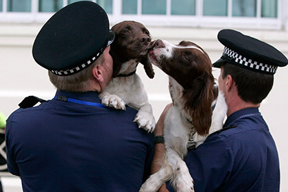 Пенсия для полицейских собак