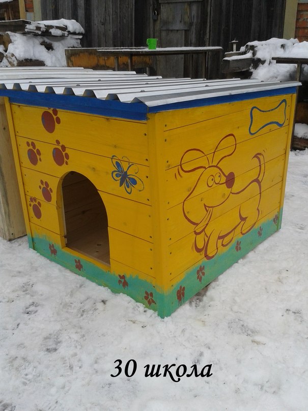 Эжвинские школьники сколотили 5 будок для собак «Домика»