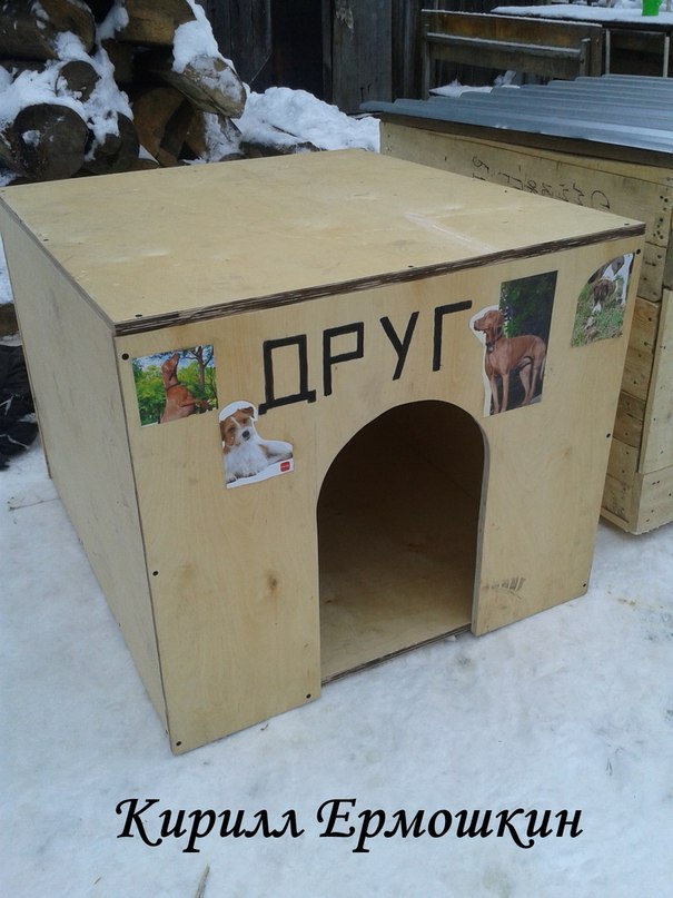 Эжвинские школьники сколотили 5 будок для собак «Домика»