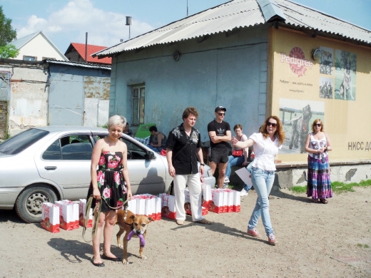 День сильных собак в Новосибирске